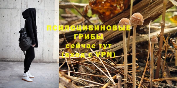 индика Сосновый Бор