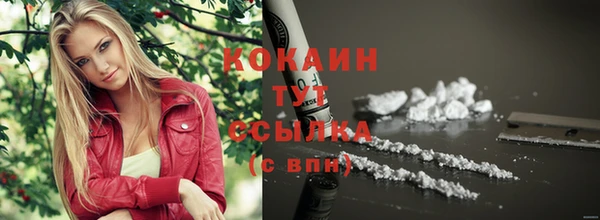 mdpv Снежинск