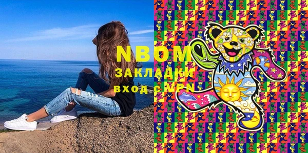 шишки Пионерский