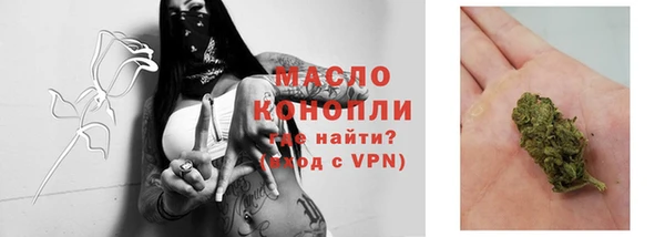 индика Сосновый Бор