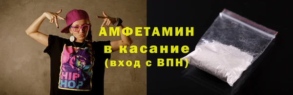индика Сосновый Бор