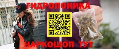шишки Жуковский