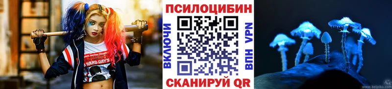 Псилоцибиновые грибы Magic Shrooms  Северск 