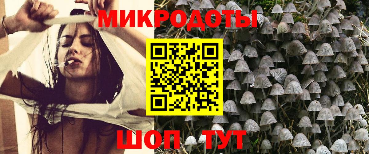 Галлюциногенные грибы Cubensis  Северск  Галлюциногенные грибы GOLDEN TEACHER 