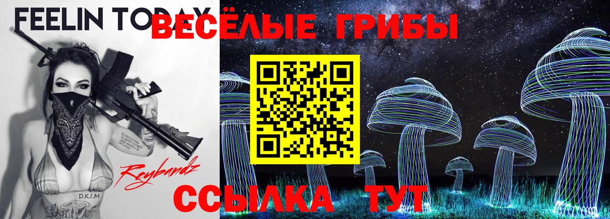 Галлюциногенные грибы MAGIC MUSHROOMS Северск